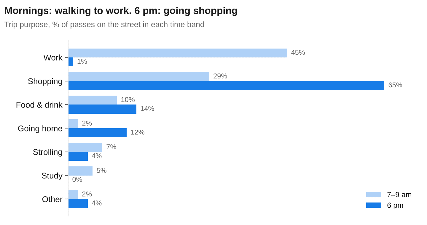 Pedestrian trip purpose on a street segment in Bilbao: work in the morning, shopping at 6 pm